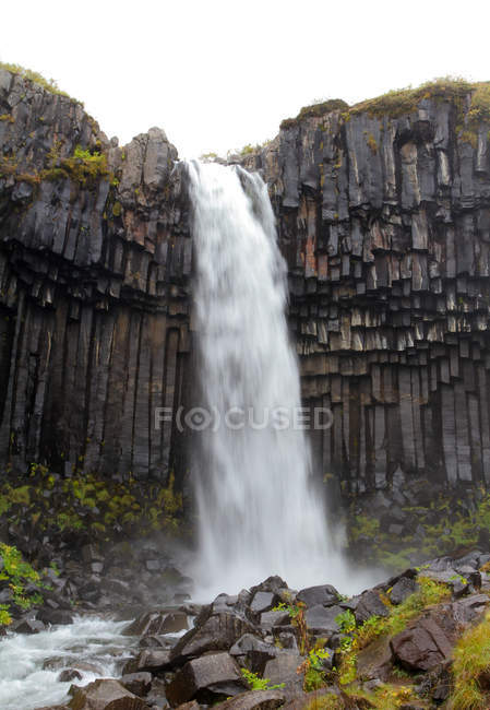 Cascada de Svartifoss, Islandia - foto de stock