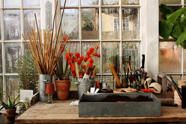 Avec outils et matériel de jardinage — Photo de stock