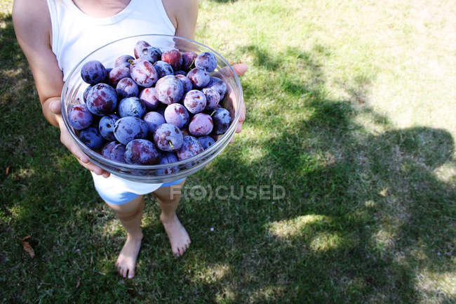 Boy holding bowl of plums — Stock Photo