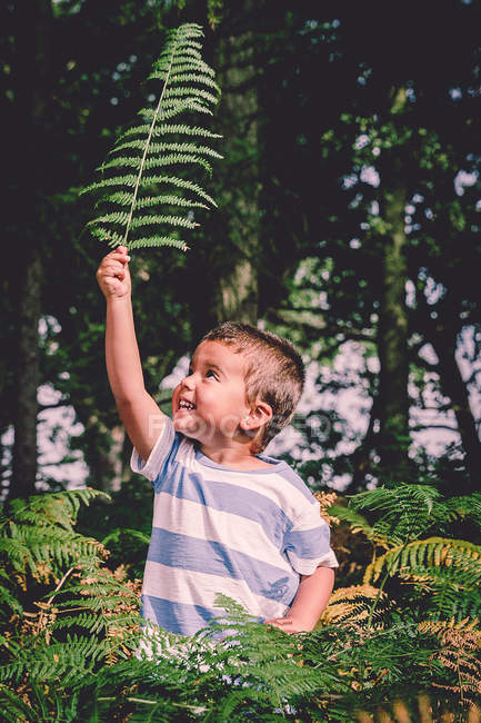 Junge hält Farnblatt in der Hand — Stockfoto
