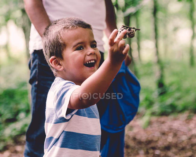 Niño sosteniendo conos de pino - foto de stock
