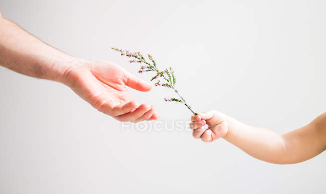 Niño entrega flor - foto de stock