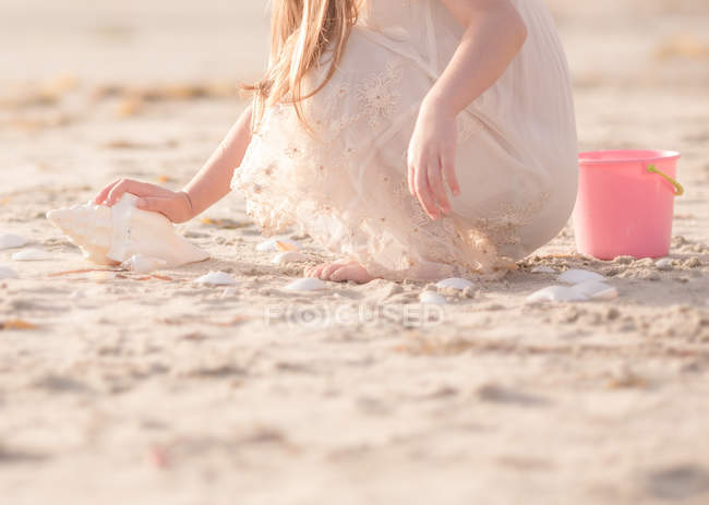 Chica buscando conchas marinas - foto de stock