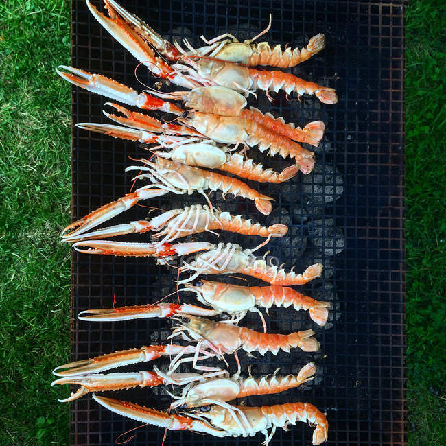 Crayfish on  barbeque — Stock Photo