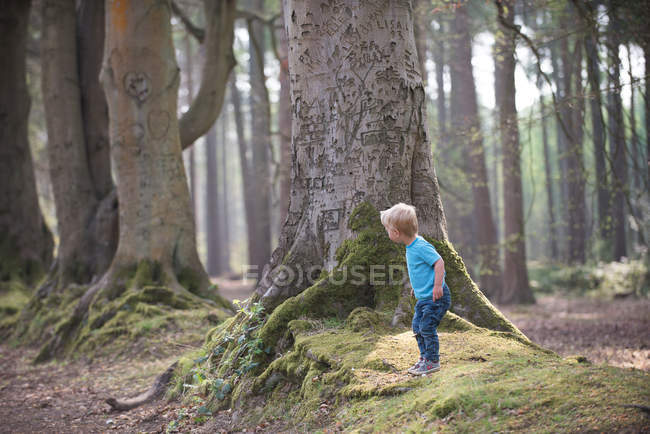 Garçon jouer dans la forêt — Photo de stock