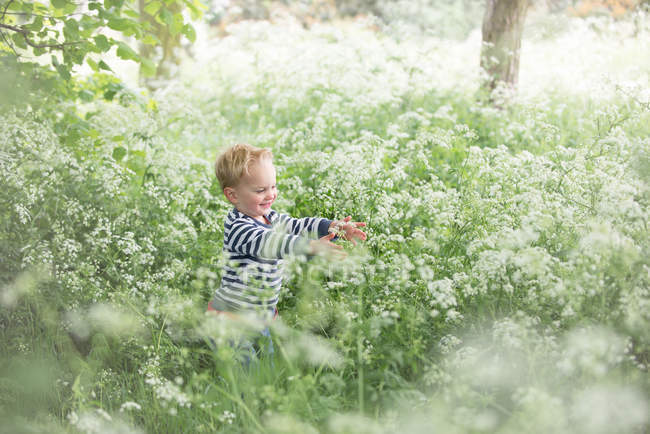 Мальчик играет на коровьем поле петрушки — стоковое фото