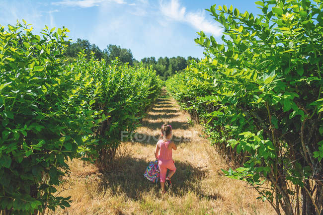 Girl walking through orchard — Stock Photo