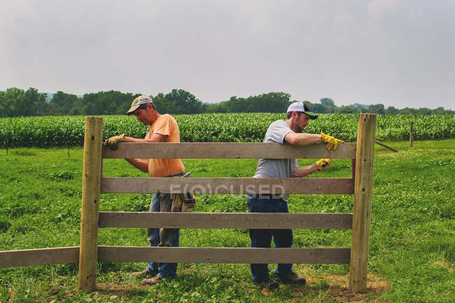 Чоловіки Будівництво паркану — стокове фото