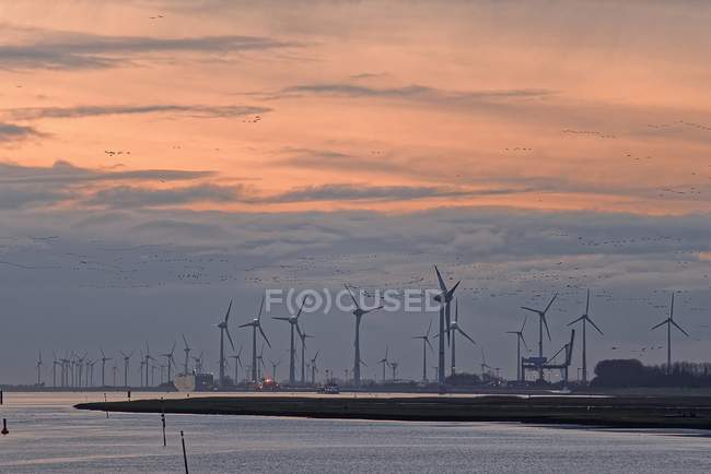 Wind turbines in row in harbor — Stock Photo