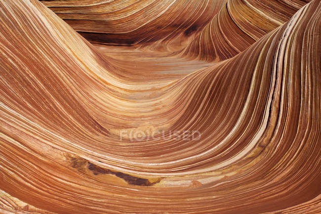 Wave rock formation — Stock Photo