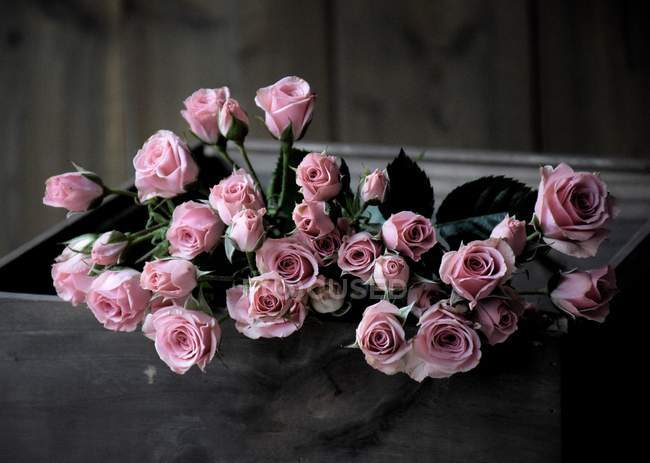 Pink roses in crate — Stock Photo