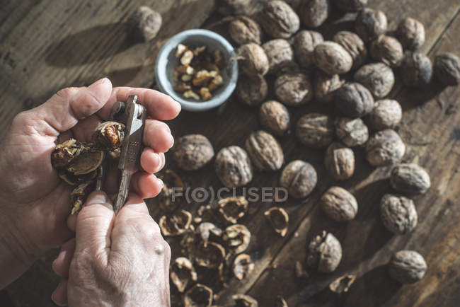 Woman hands cracking walnuts — Stock Photo