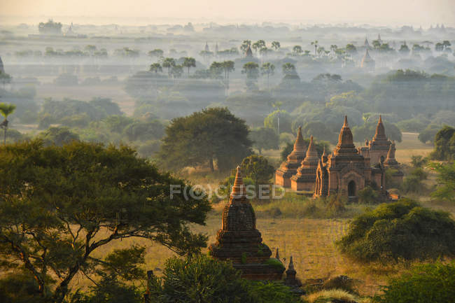 Ancient temples surrounded by trees — Stock Photo