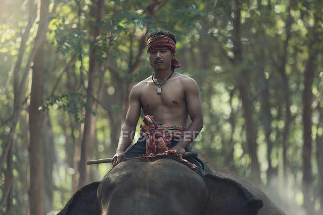 Mahout uomo cavalcando su elefante — Foto stock
