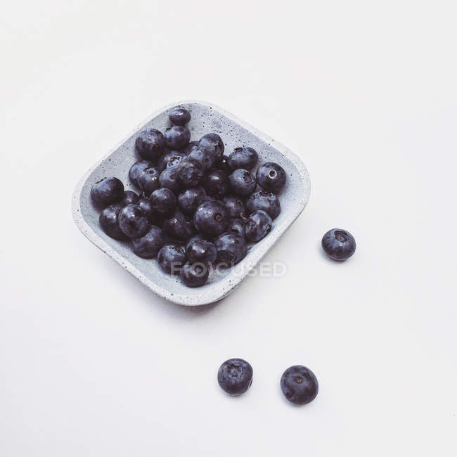 Bowl of blueberries — Stock Photo