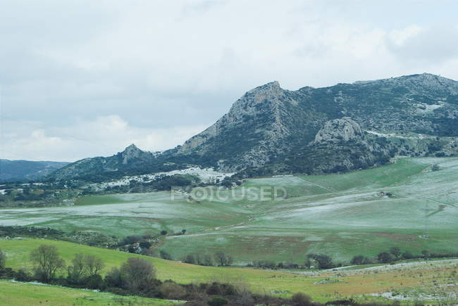 Зеленый пейзаж и горы — стоковое фото