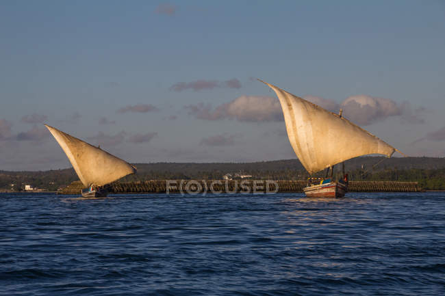 Dhows sailing boats in water — Stock Photo