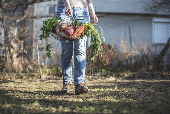 Женщина и корзина с овощами . — стоковое фото