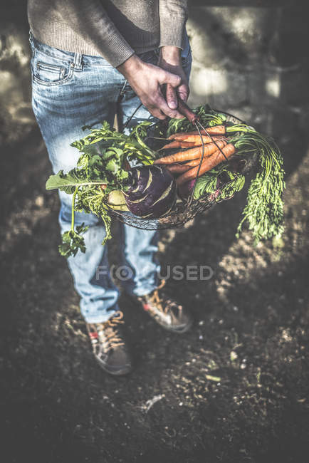 Frau und Korb mit Gemüse. — Stockfoto
