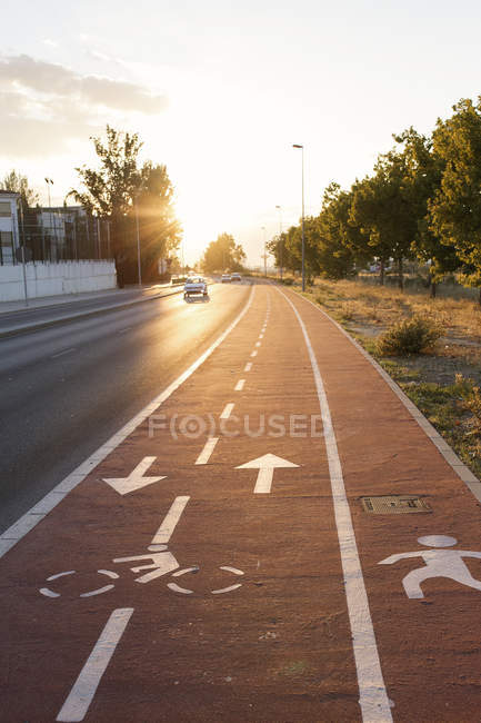 Велосипедна доріжка з пішохідною стежкою та дорогою — стокове фото