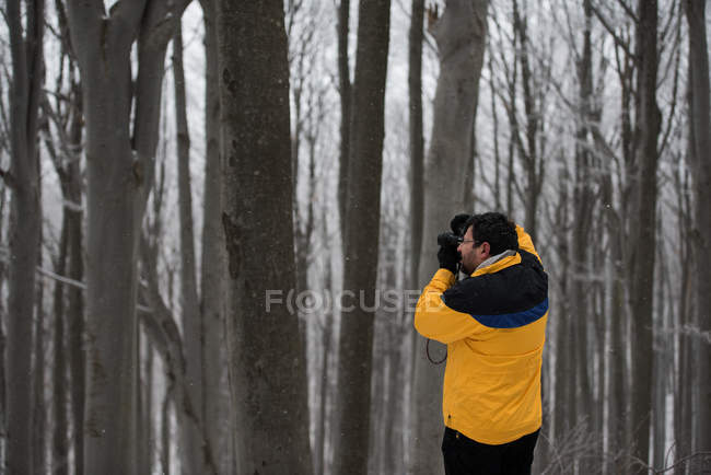 Hombre fotografiando árboles en el bosque - foto de stock