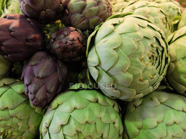 Green and purple artichokes — Stock Photo