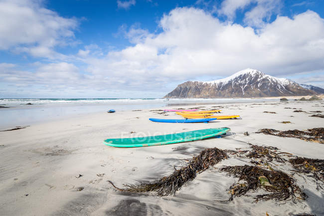 Tablas de surf en la playa, Islas Lofoten - foto de stock