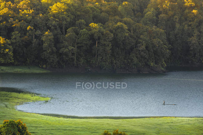 Vista de floresta e lago — Fotografia de Stock
