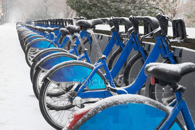 Ряд велосипедів на снігу — стокове фото