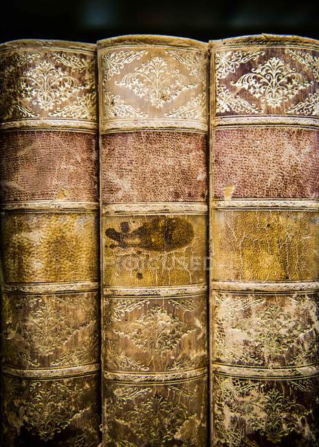 Три старовинні книги на книжковій полиці — стокове фото