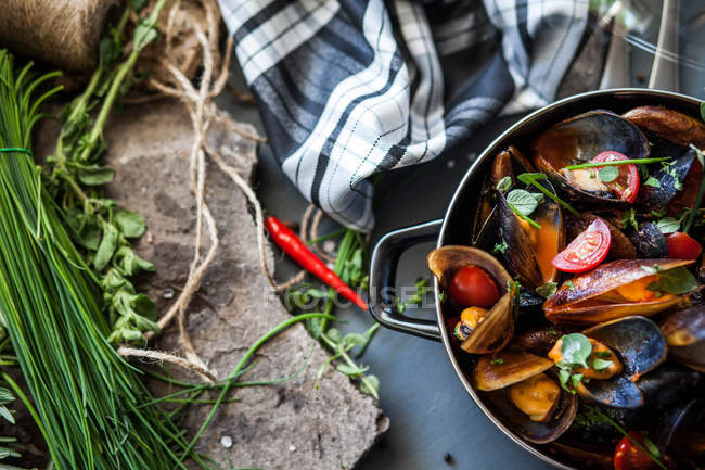 Saucepan with steamed mussels — Stock Photo