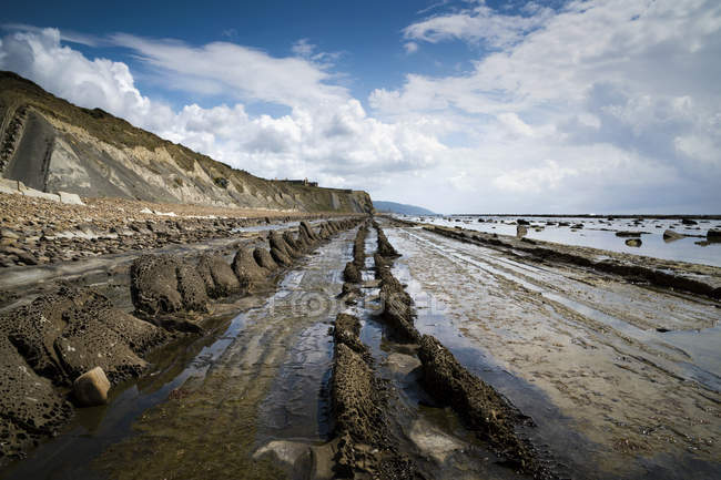 Flysch rochers le long de la côte — Photo de stock
