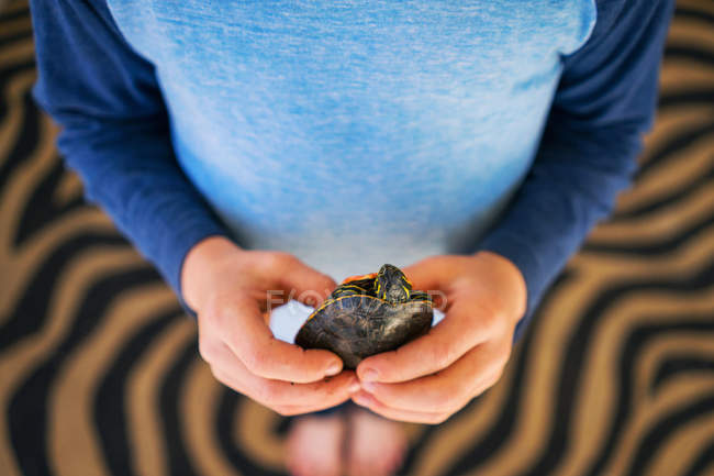 Niño sosteniendo tortuga - foto de stock