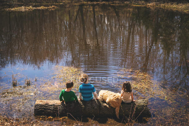 Niños y golden retriever sentado en el tronco - foto de stock