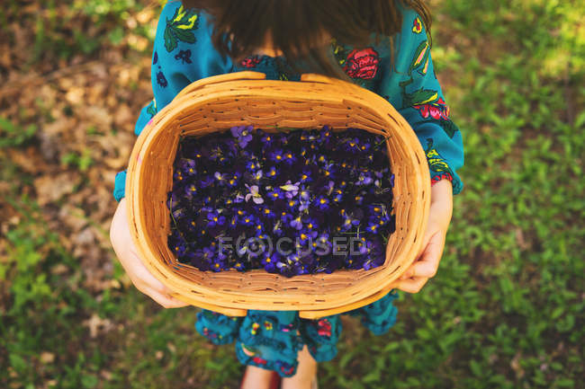 Criança segurando cesta cheia de flores violetas — Fotografia de Stock