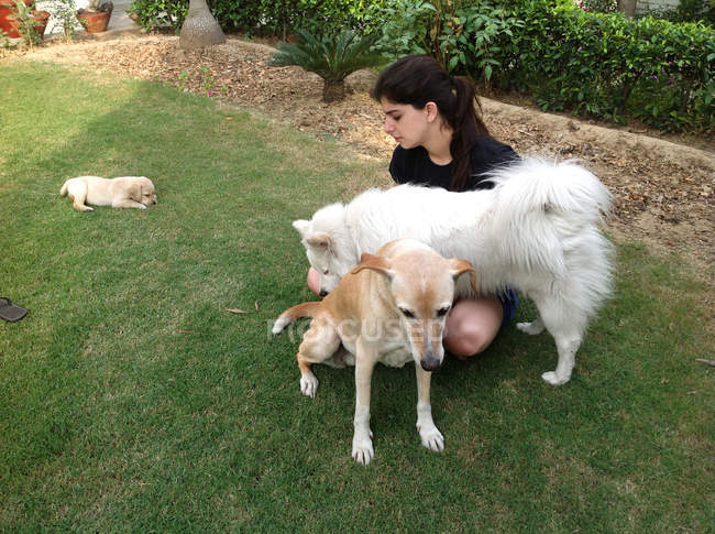 Donna che gioca con i cani — Foto stock