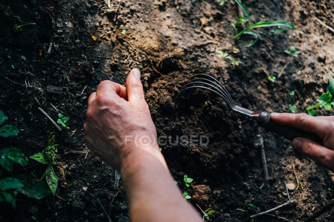 Mujer plantando plantas en el jardín - foto de stock