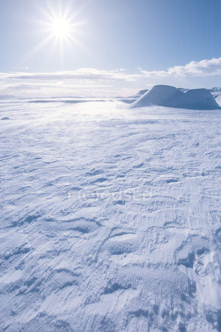 Frozen winter landscape — Stock Photo