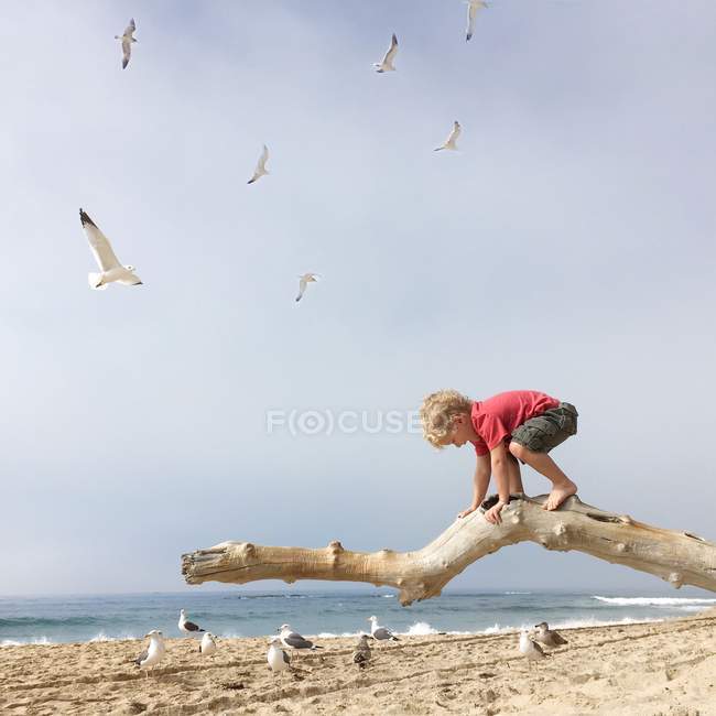 Niño escalando en rama - foto de stock