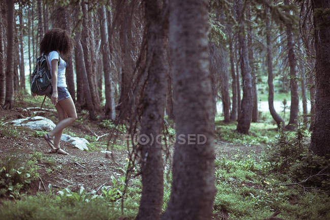 Женщина, идущая через лес — стоковое фото
