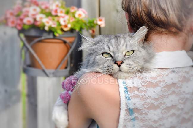Vista trasera de la niña sosteniendo un gato - foto de stock