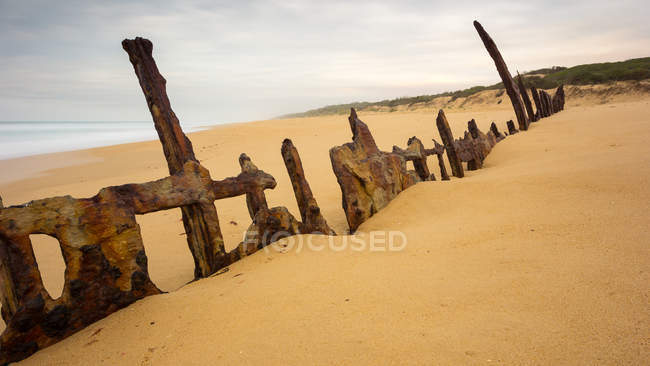 Naufrágio, Golden Beach, Victoria, Austrália — Fotografia de Stock