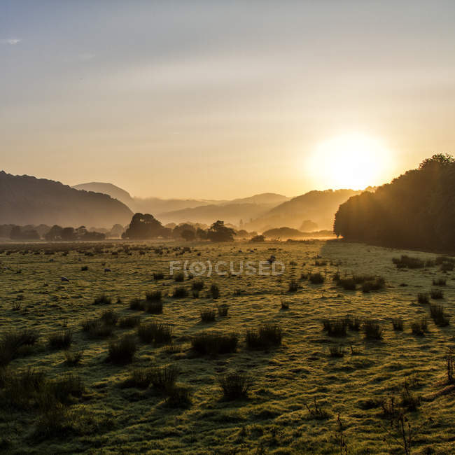 Scenic view of beautiful landskape at morning sun — Stock Photo