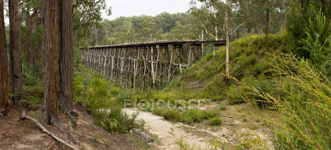 Живописный вид на старый железнодорожный мост, Нова, Виктория, Австралия — стоковое фото