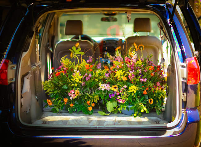 Schöne bunte Blumen im offenen Kofferraum — Stockfoto