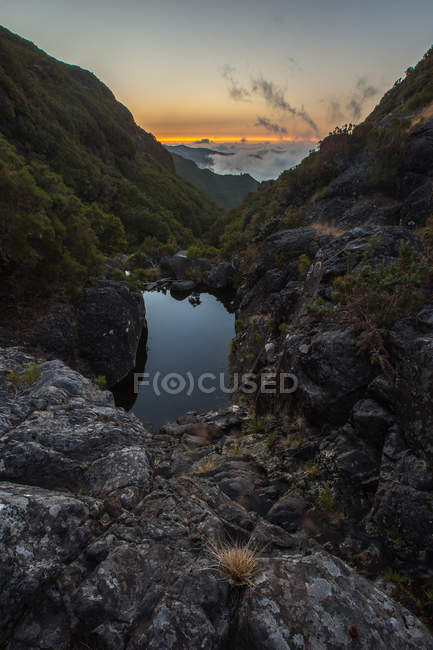 Scenic view of majestic Laurel forest, Madeira, Portugal — Stock Photo