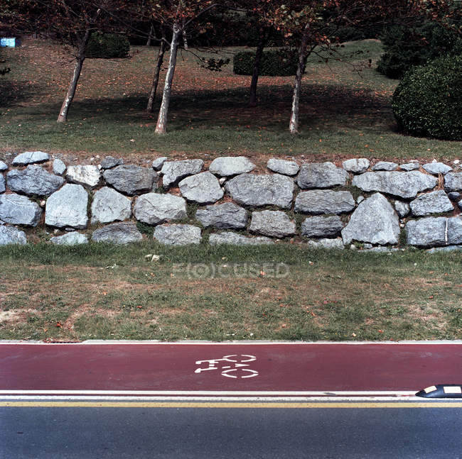Caminho de bicicleta ao lado da estrada no parque — Fotografia de Stock