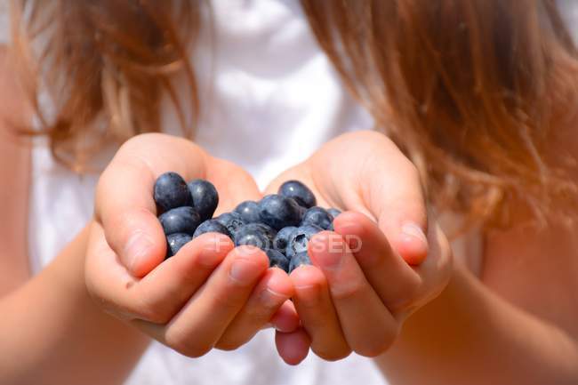 Close-up of girl Hands holding blueberries — Stock Photo