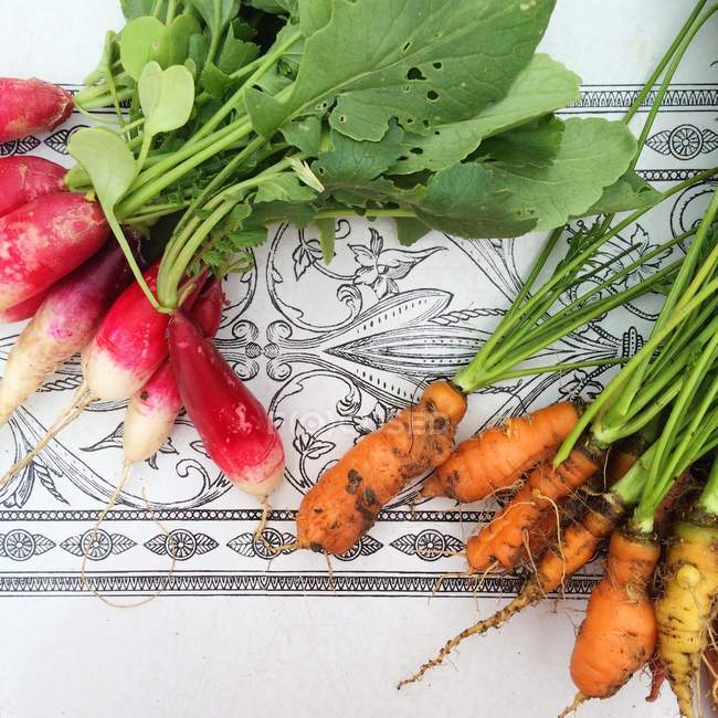 Radis et carottes fraîchement cueillis sur plateau en céramique — Photo de stock