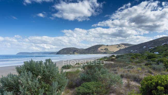 Vista panorámica de la playa de Angelsea, Victoria, Australia - foto de stock